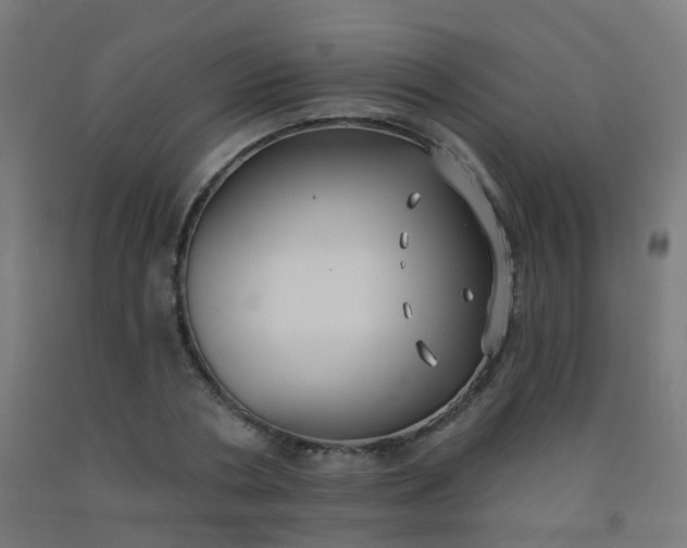 X0000092320786200709281405