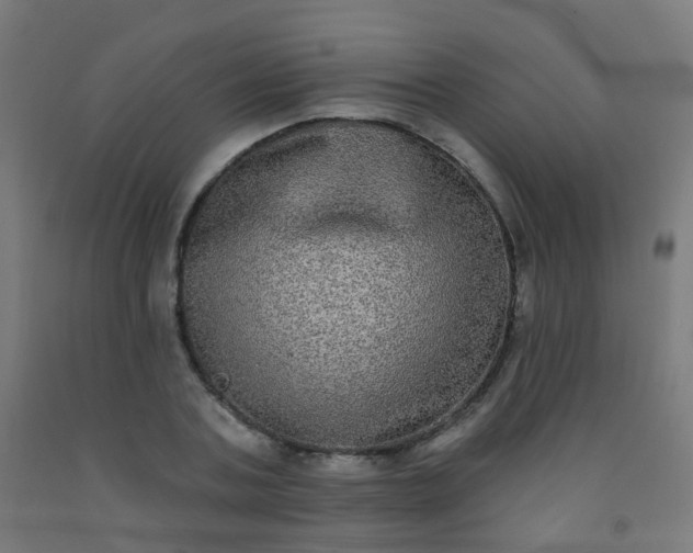 X0000092320787200709281405