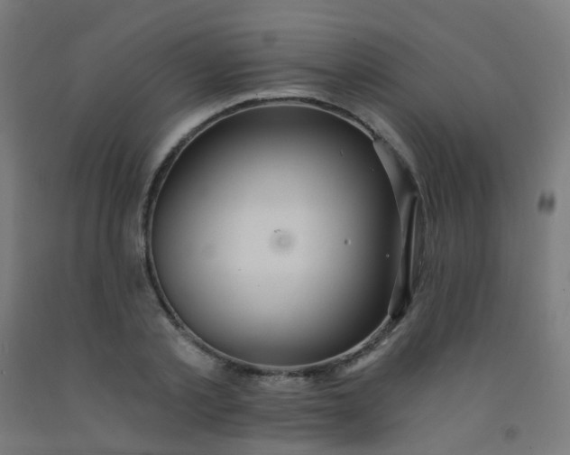 X0000092320789200709281405