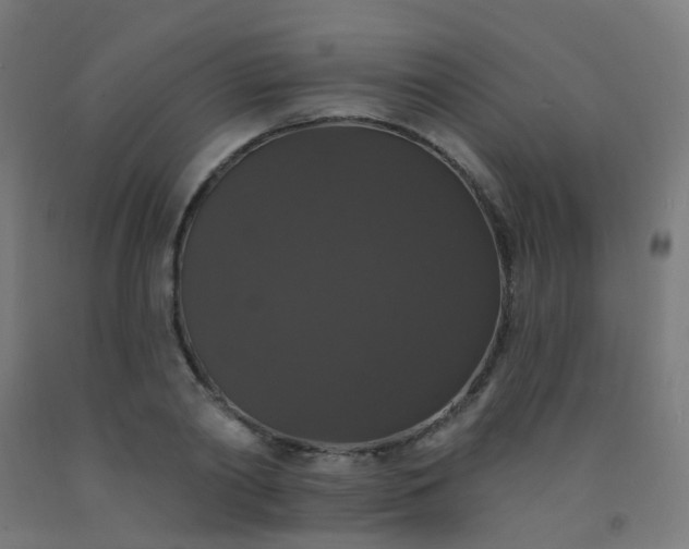 X0000092320790200709281405