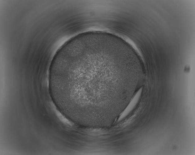 X0000092320791200709281405