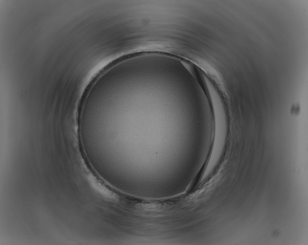 X0000092320792200709281405