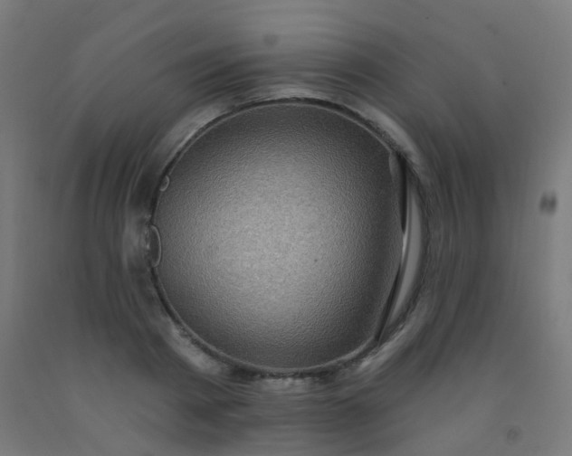X0000092320793200709281405