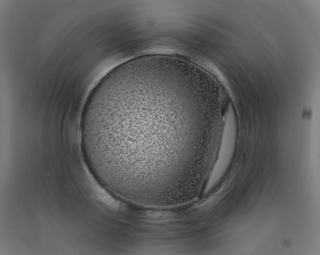 X0000092320795200709281405