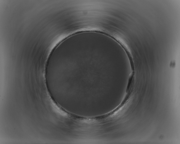 X0000092320797200709281405