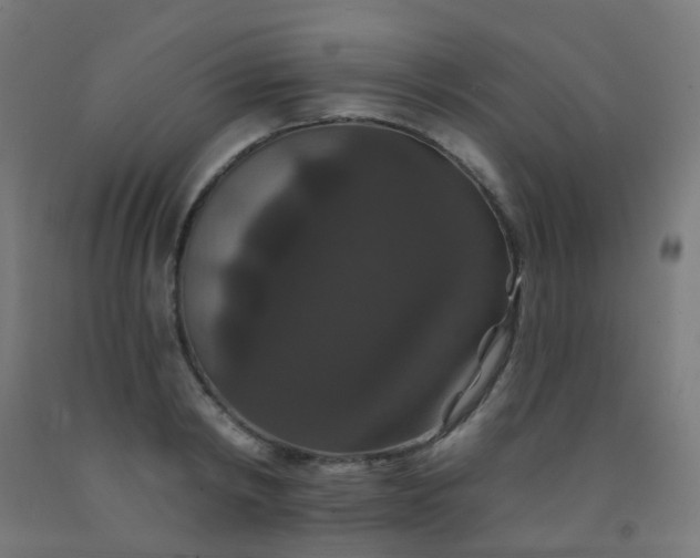 X0000092320798200709281405