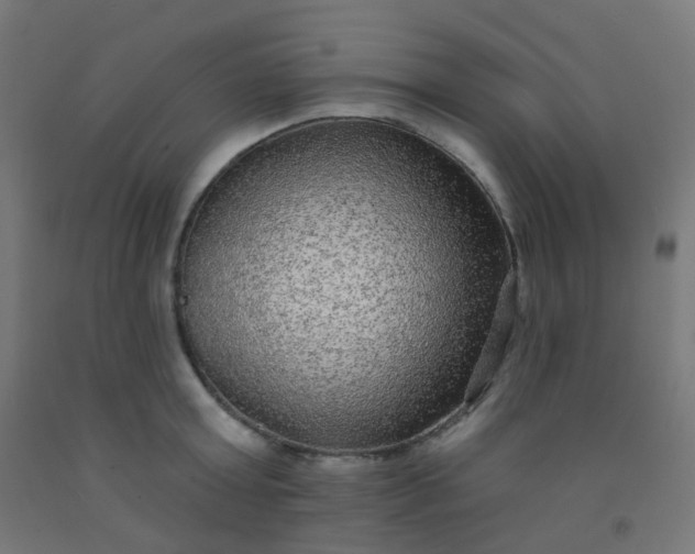 X0000092320803200709281405