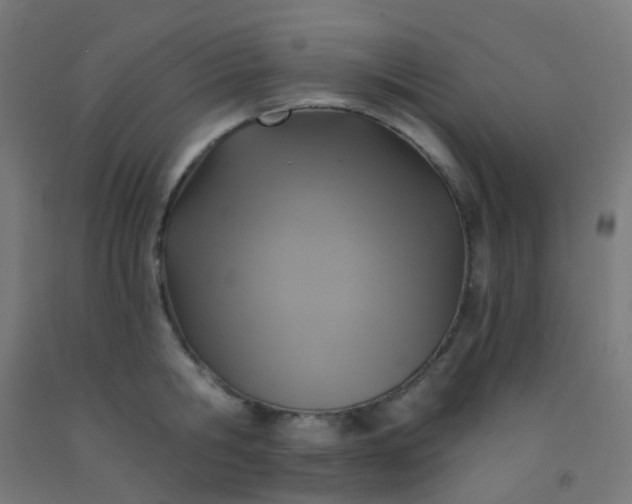 X0000092320806200709281405