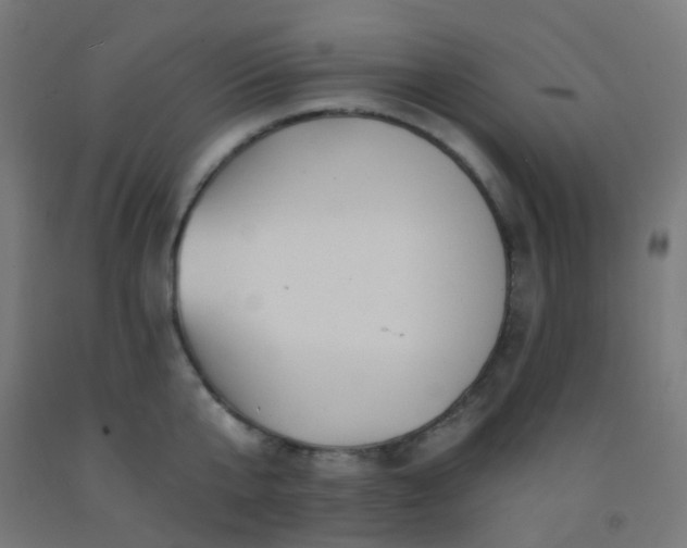 X0000092320807200709281405