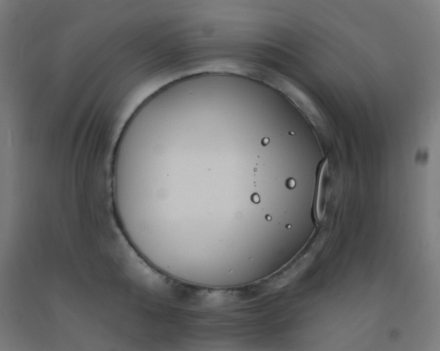X0000092320808200709281405