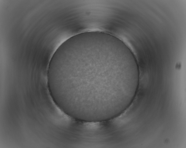 X0000092320810200709281405