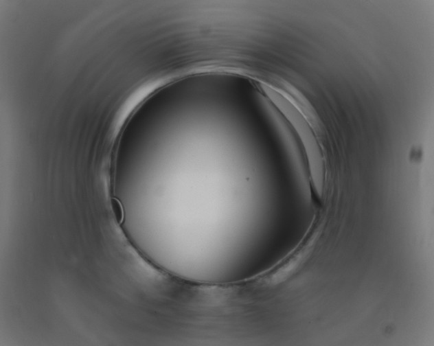 X0000092320812200709281405