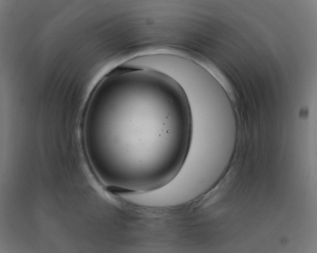 X0000092320813200709281405