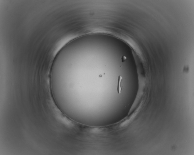 X0000092320814200709281405