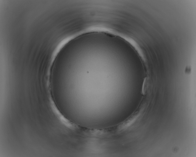 X0000092320815200709281405