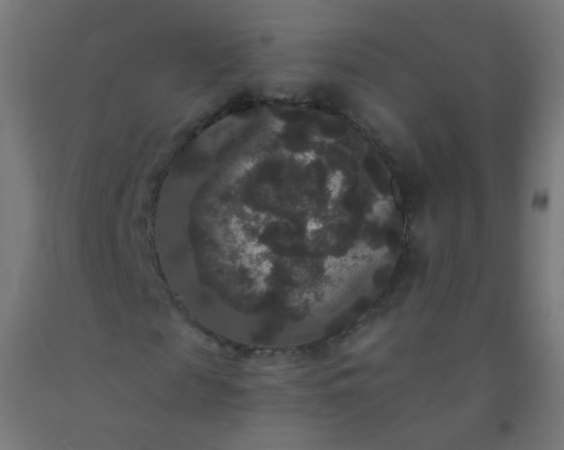 X0000092320817200709281404