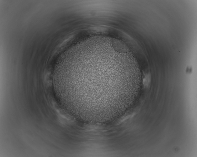 X0000092320819200709281404