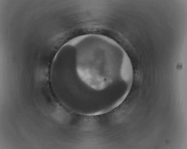 X0000092320820200709281404