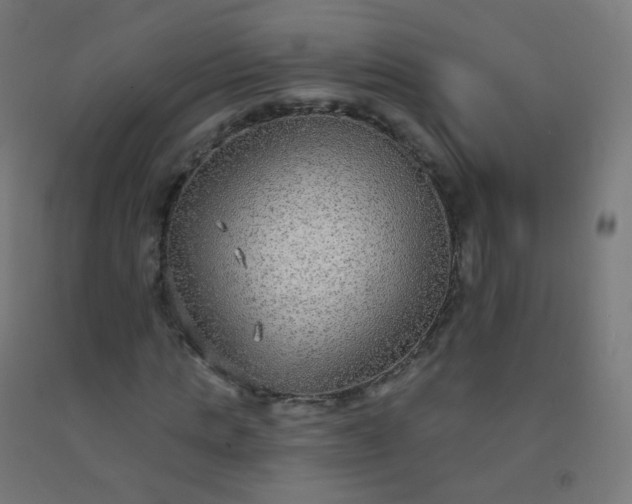 X0000092320821200709281404