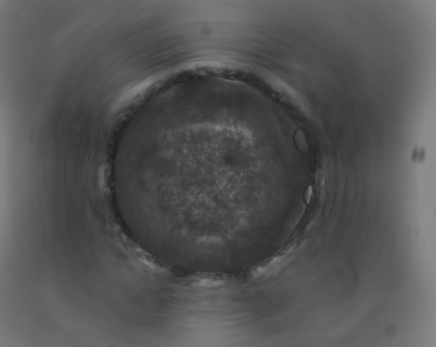 X0000092320822200709281404