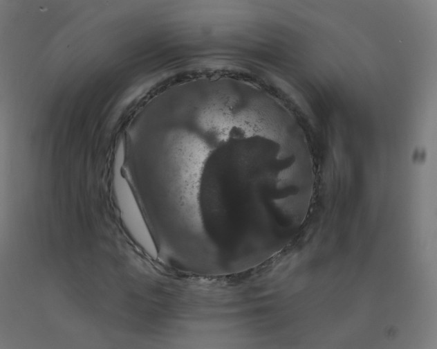 X0000092320823200709281404