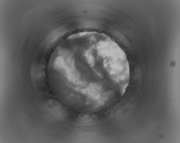 X0000092320824200709281404
