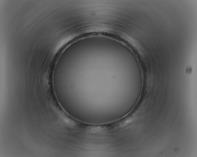 X0000092320826200709281404