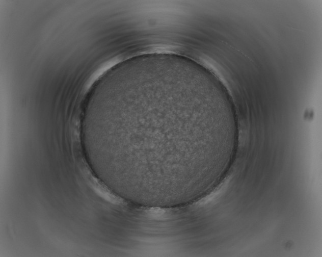 X0000092320827200709281404