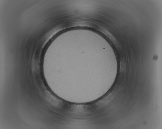 X0000092320828200709281404