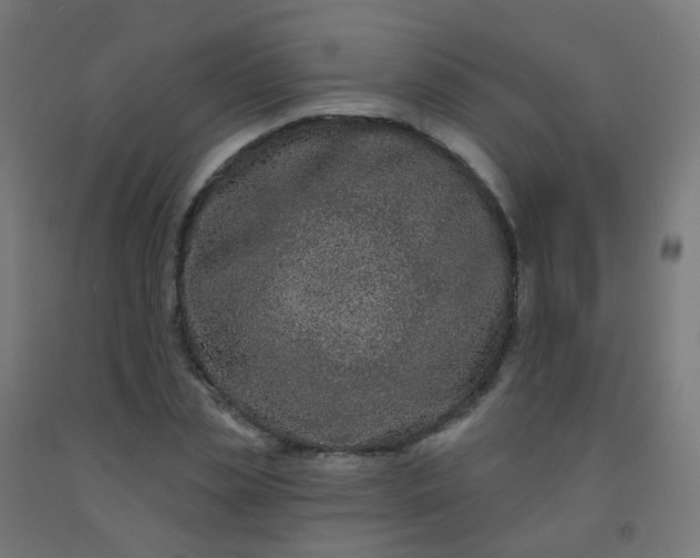 X0000092320829200709281404