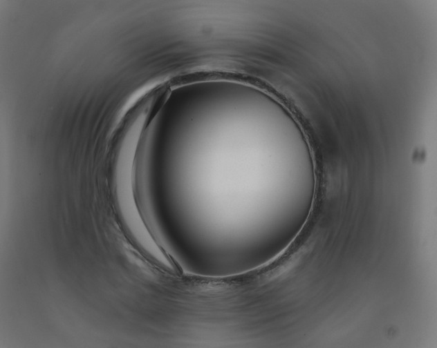 X0000092320830200709281404