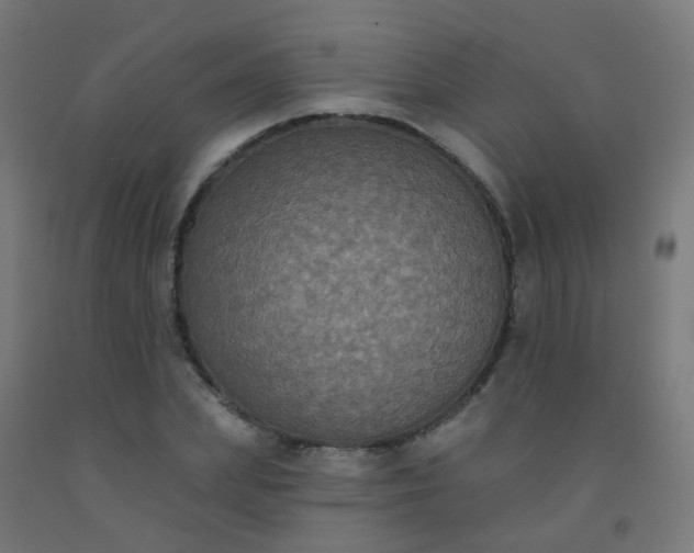 X0000092320831200709281404
