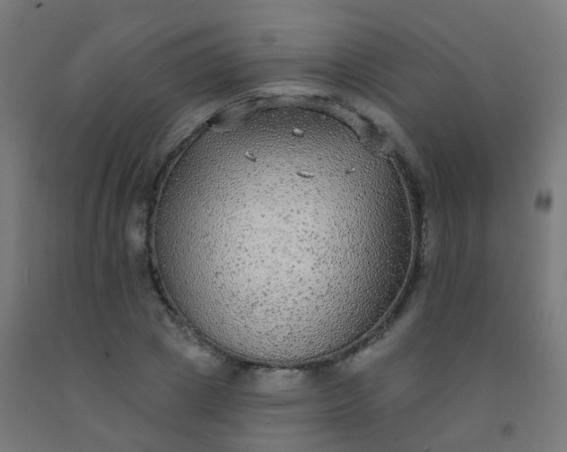 X0000092320833200709281404