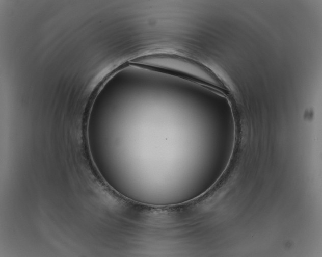 X0000092320834200709281404
