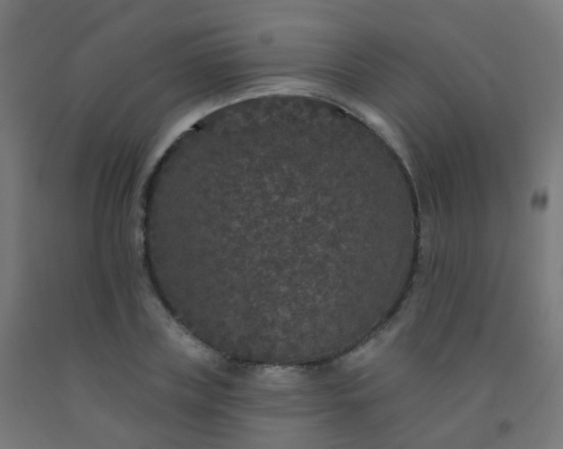 X0000092320835200709281404