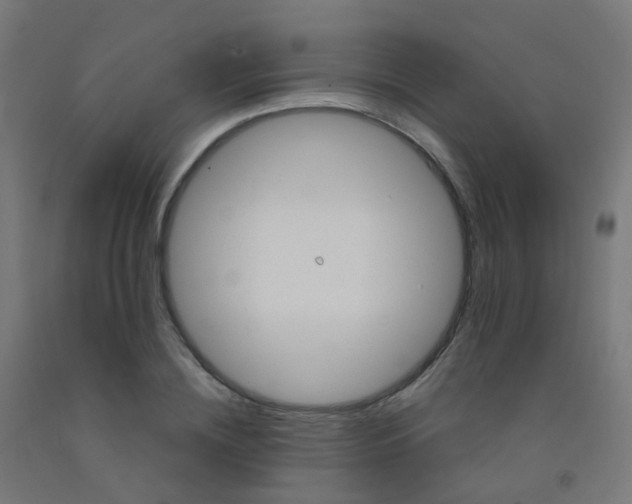 X0000092320836200709281404