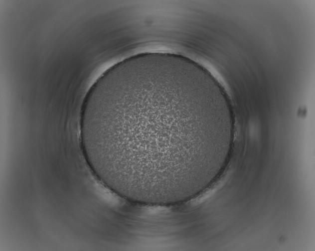 X0000092320837200709281404