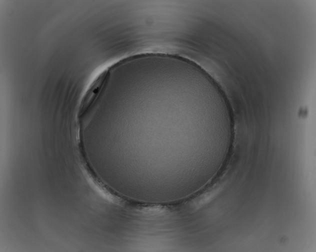 X0000092320838200709281404