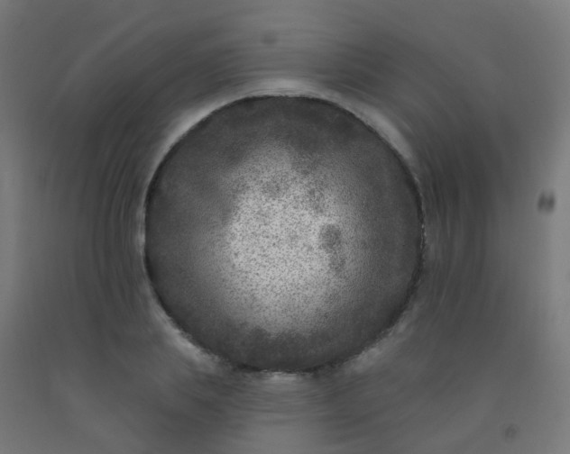 X0000092320839200709281404