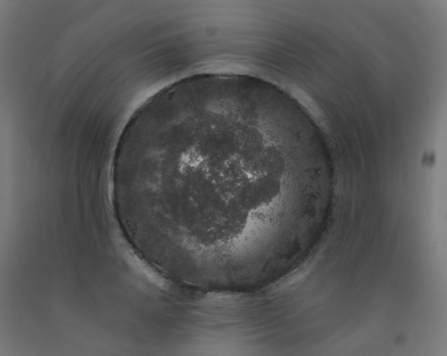 X0000092320840200709281404
