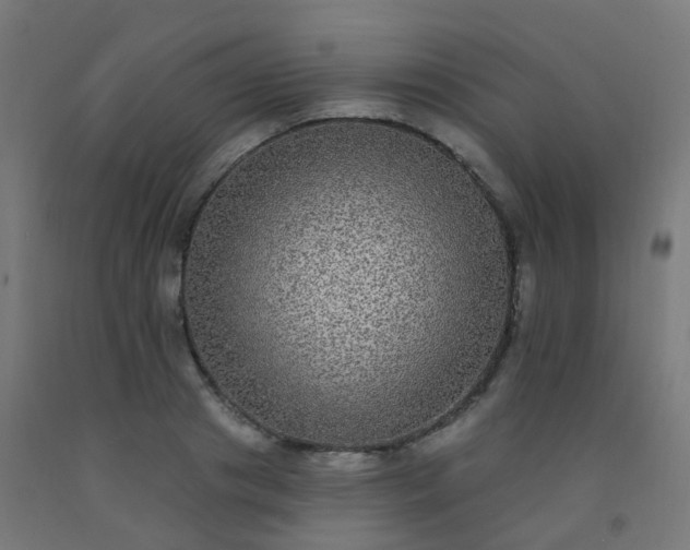 X0000092320841200709281404