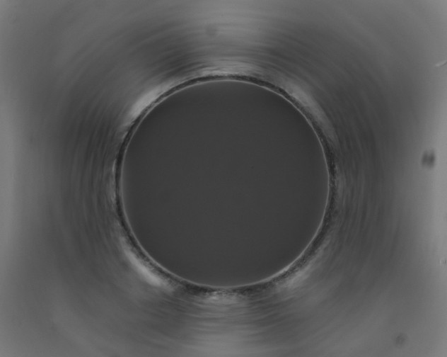 X0000092320842200709281404