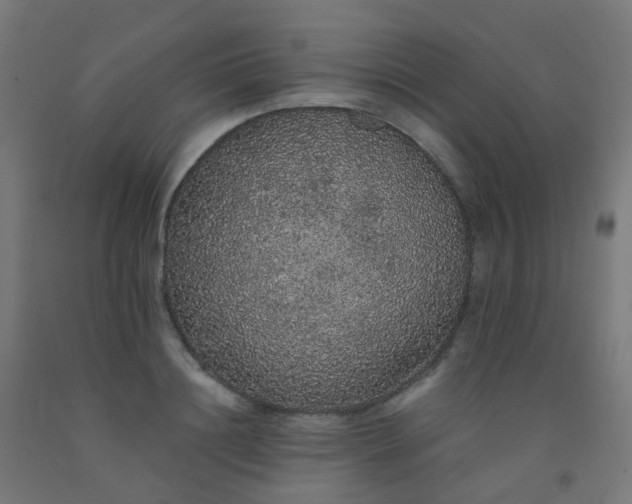 X0000092320844200709281404