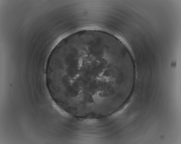 X0000092320845200709281404