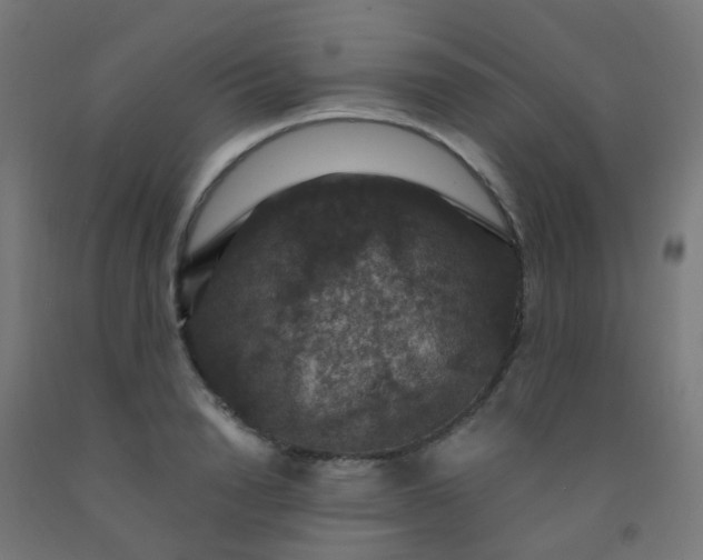 X0000092320846200709281404
