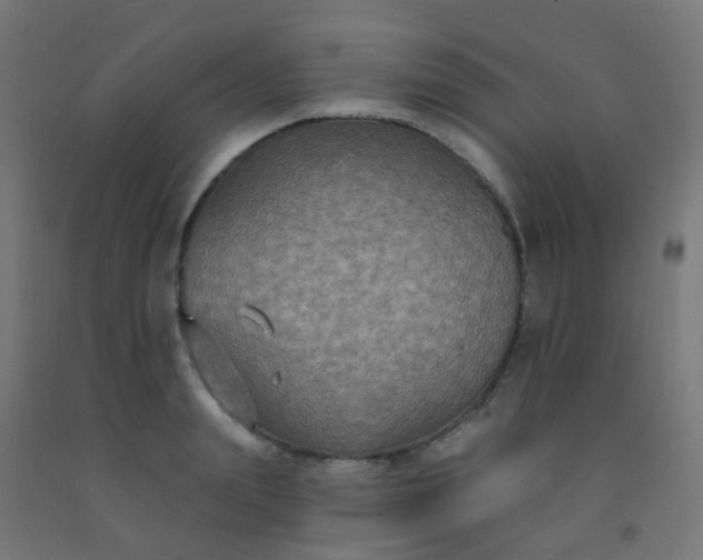 X0000092320847200709281404