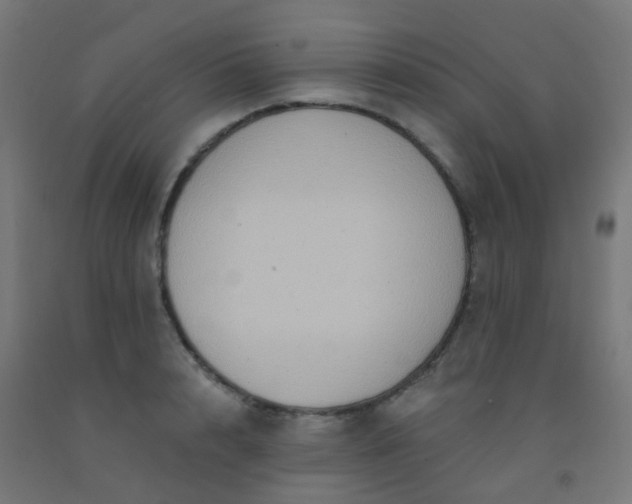 X0000092320848200709281404