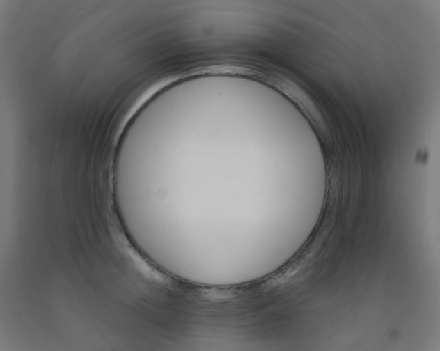 X0000092320852200709281405