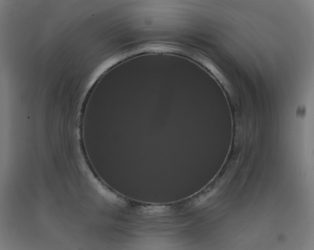 X0000092320853200709281405