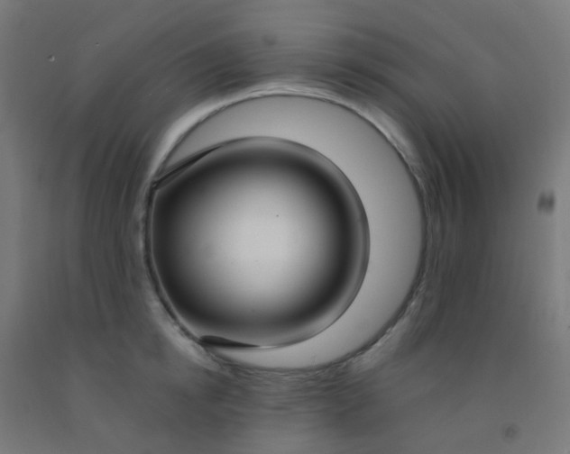 X0000092320854200709281405
